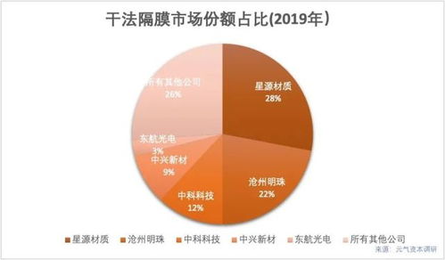贴膜品牌深度解析，品质、创新与未来趋势展望