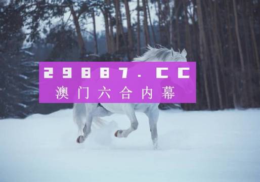 2024澳门资料免费网站大全正版2024|准确解释解析落实